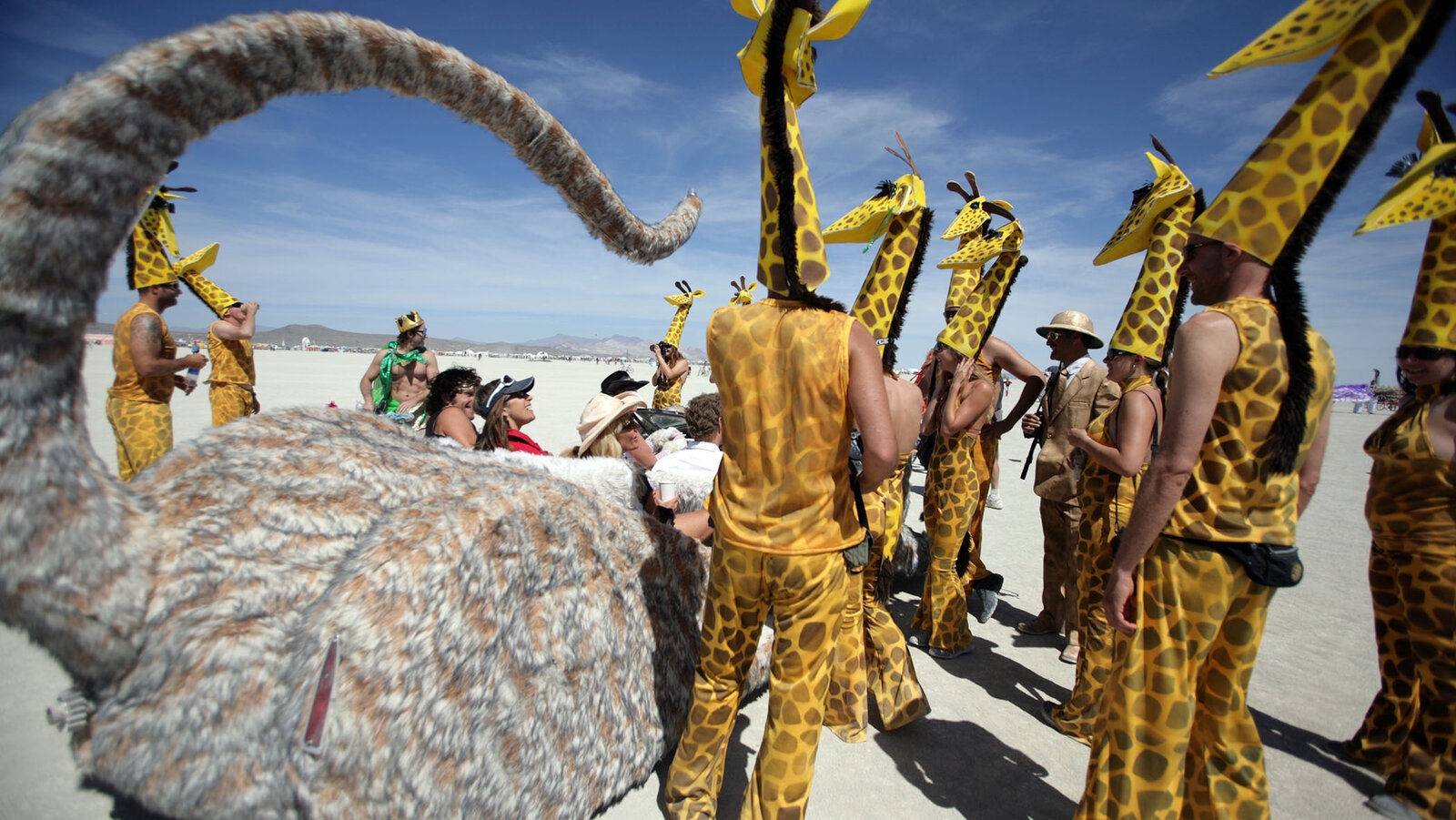 humdinger crossword clue humdinger crossword clue