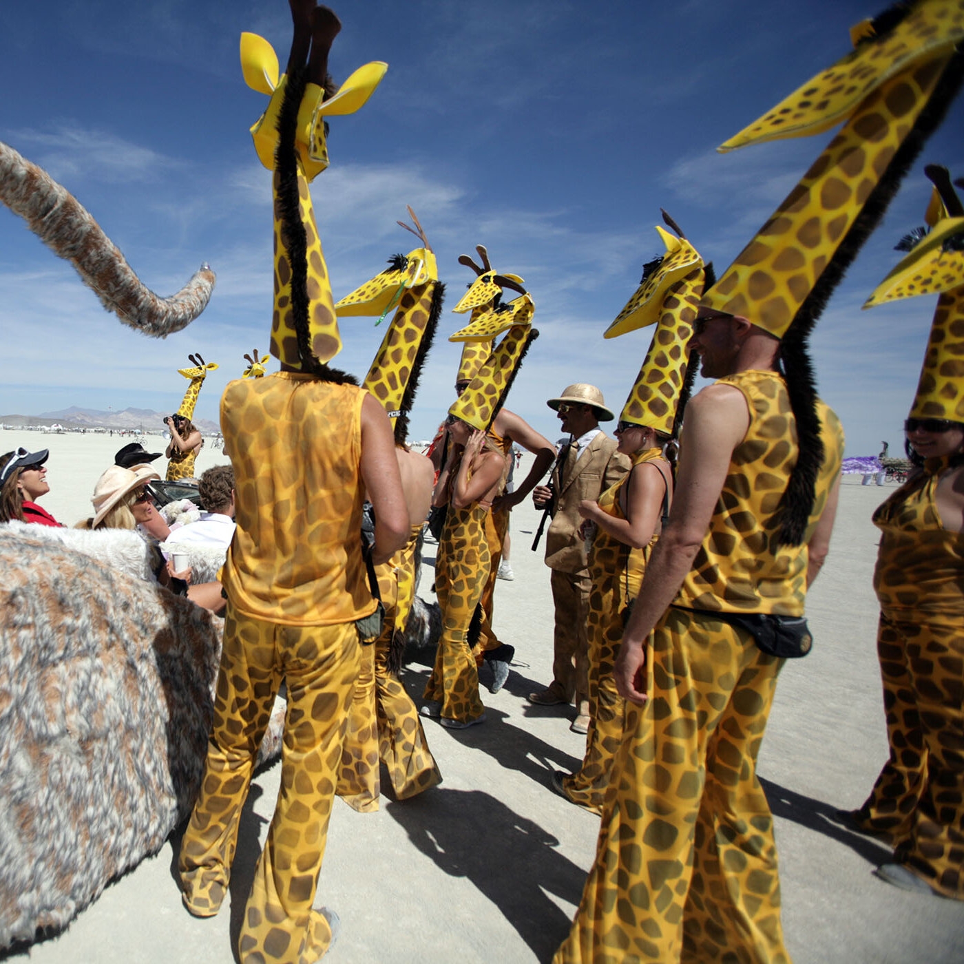 Humdingers The New York Times Humdingers The New York Times