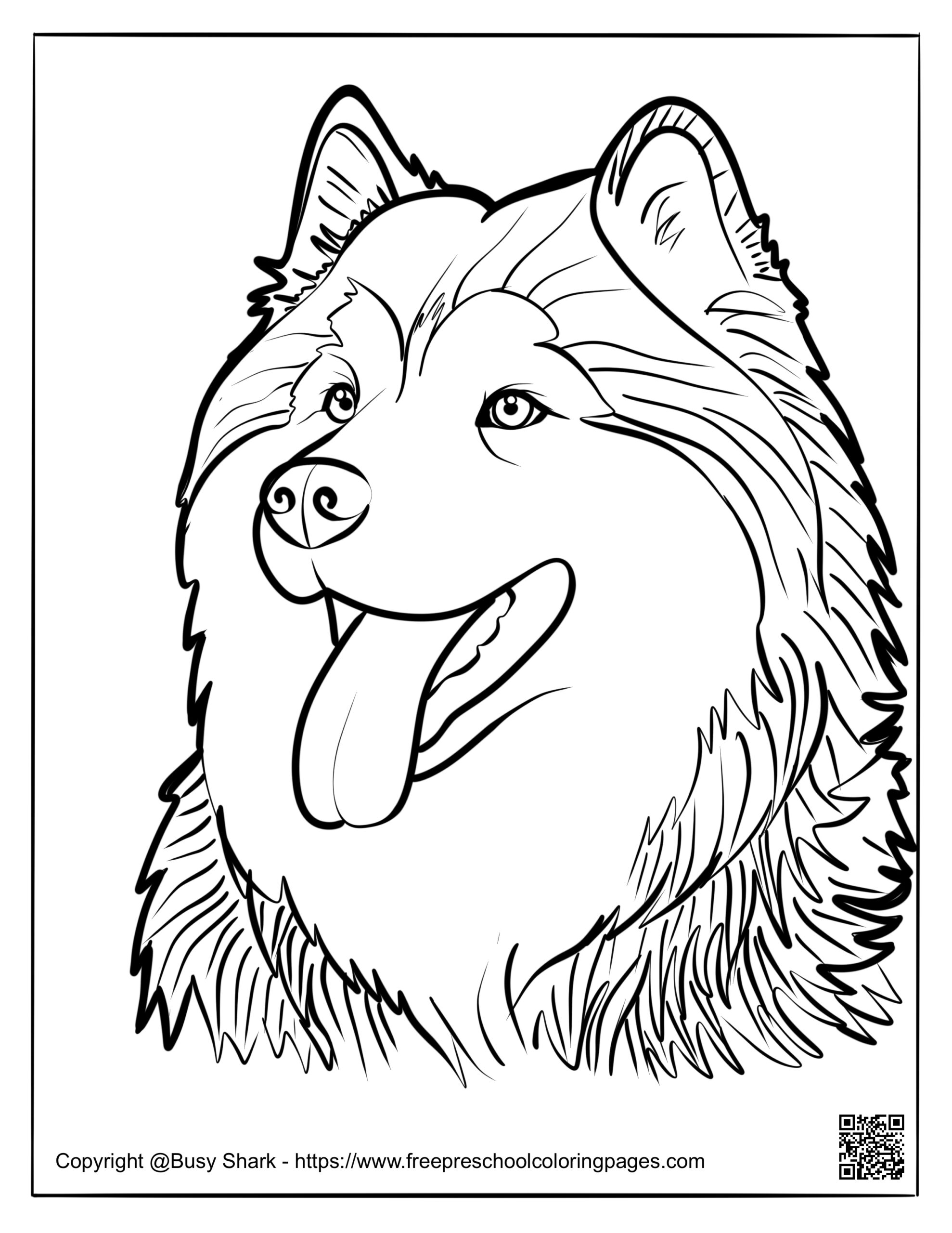 Husky Dog Free Coloring Pages Husky Dog Free Coloring Pages