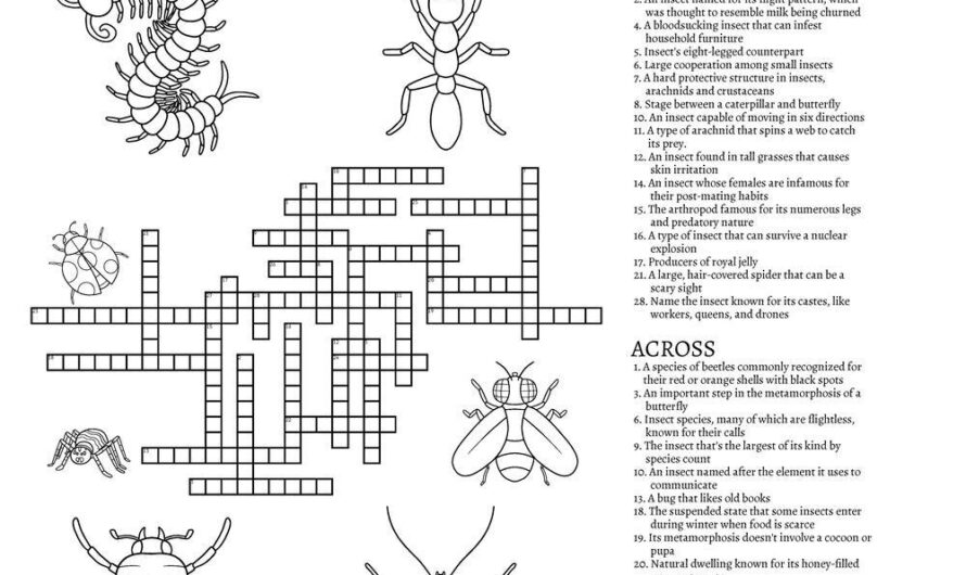 Insect Stage Crossword Clue