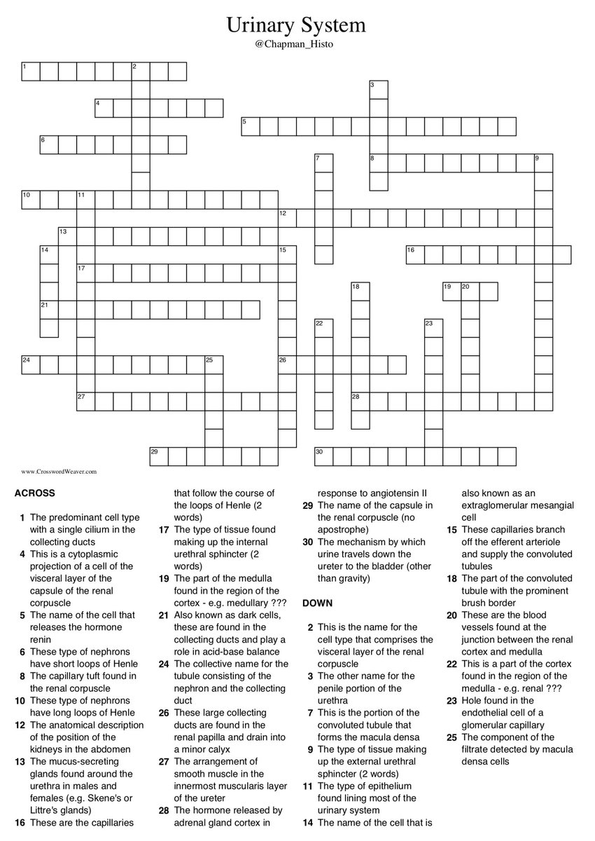 Jamie Chapman On X Would You Like To Test Your Understanding Of The Anatomy And Histology Of The Urinary System Urine Luck And I m Not Taking The Piss Try The Chapman Jamie Chapman On X Would You Like To Test Your Understanding Of The Anatomy And Histology Of The Urinary System Urine Luck And I m Not Taking The Piss Try The Chapman