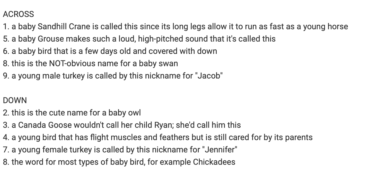 Kid s Corner Baby Bird Crossword Puzzle Bird Town Pennsylvania Kid s Corner Baby Bird Crossword Puzzle Bird Town Pennsylvania