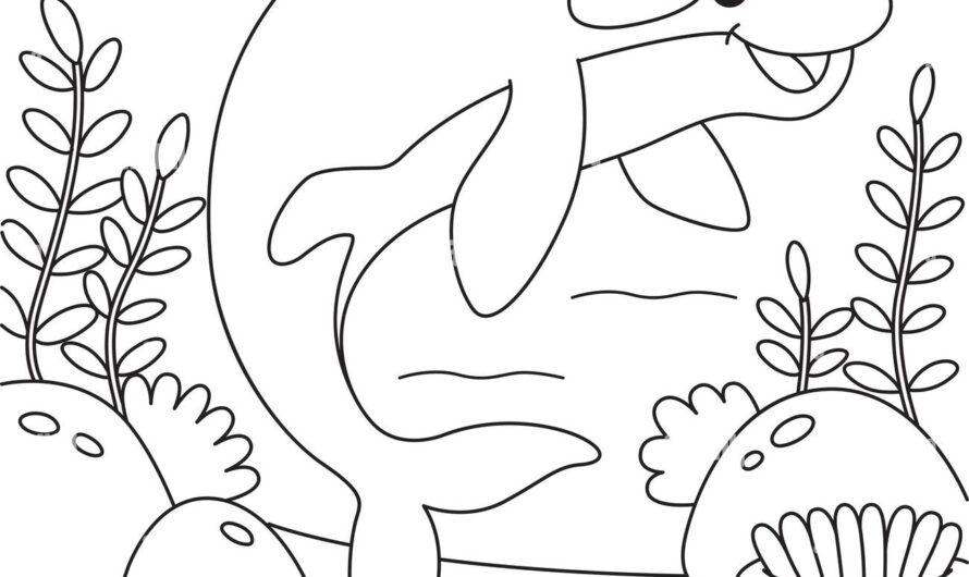 Killer Whale Pictures To Color