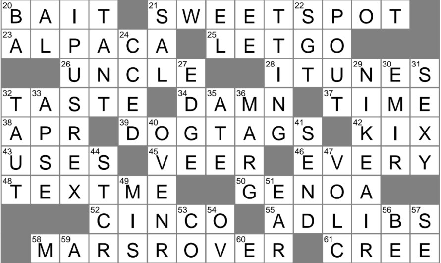 Major Brand Of Athletic Shoes Crossword Clue