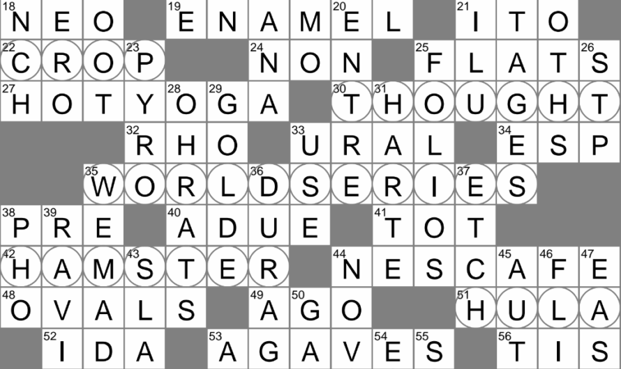 New Baby Bling Crossword Clue La