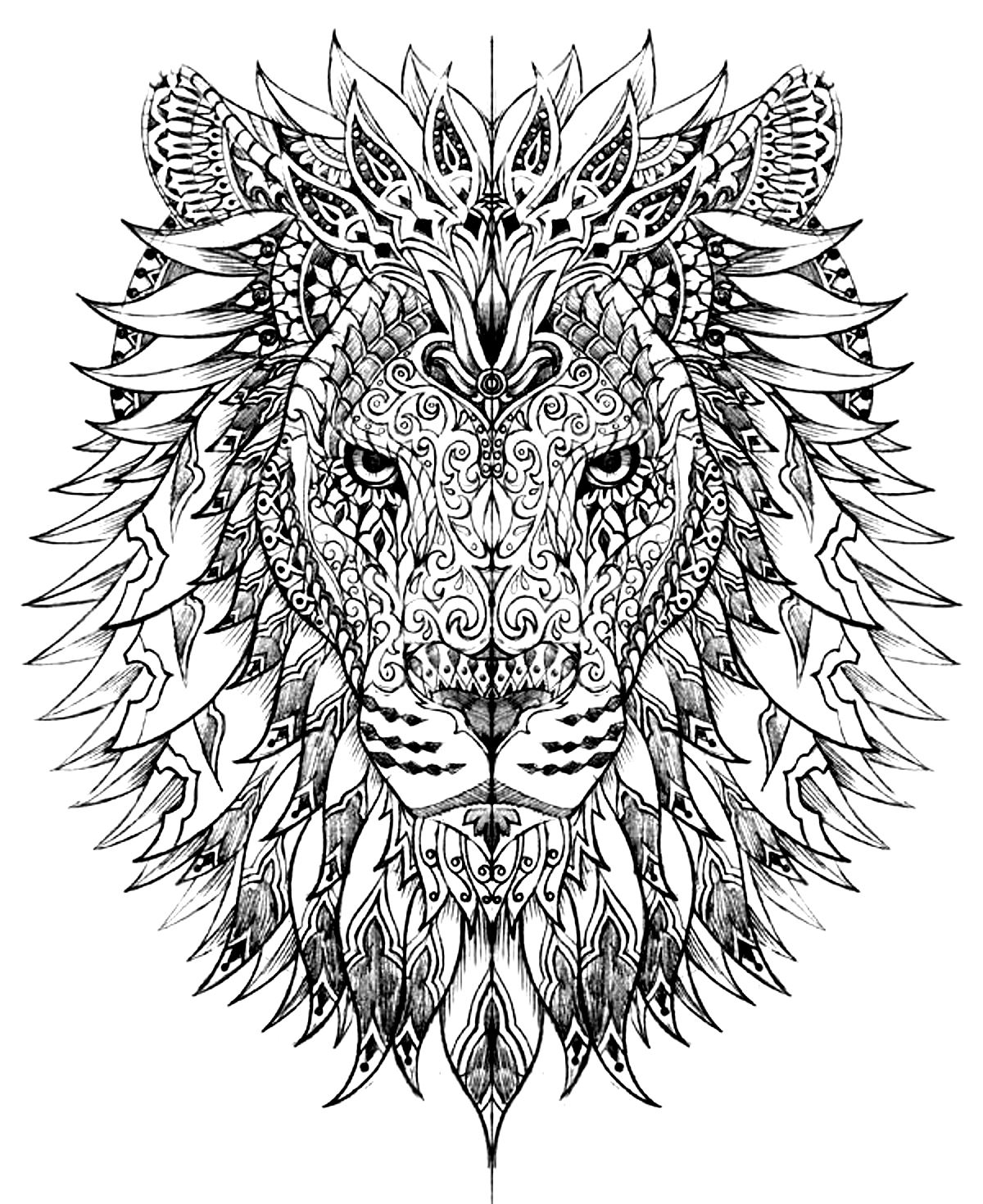 Lion Head Lion Coloring Pages For Adults
