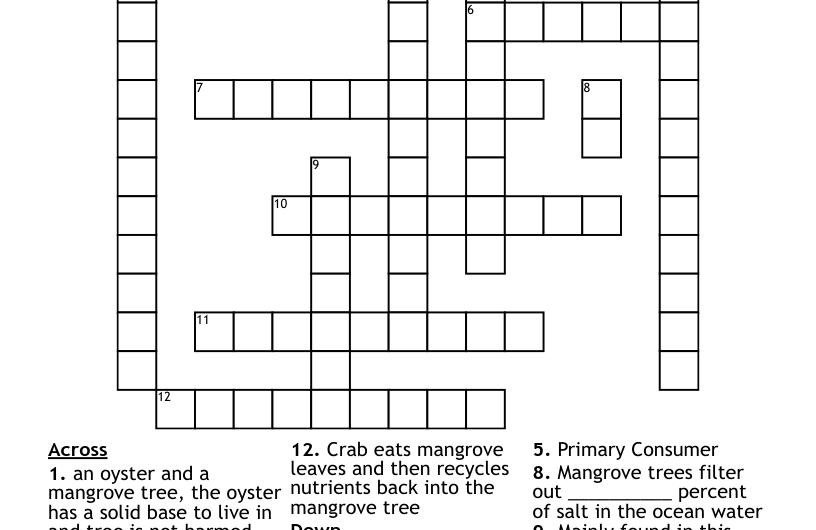 Swamp Crossword Clue