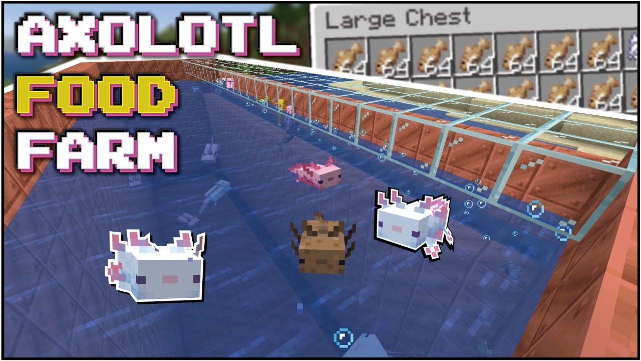 Minecraft Axolotl FOOD Farm Easy Compact Expandable YouTube Minecraft Axolotl FOOD Farm Easy Compact Expandable YouTube