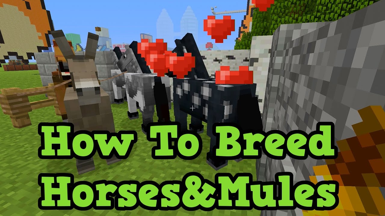 Minecraft Xbox 360 PS3 How To Breed Horses And Mules In TU19 YouTube Minecraft Xbox 360 PS3 How To Breed Horses And Mules In TU19 YouTube