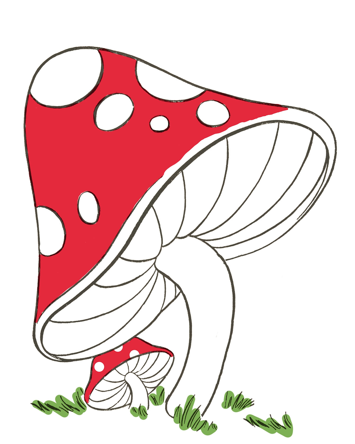 Mushroom Drawing Easy The Graphics Fairy Mushroom Drawing Easy The Graphics Fairy