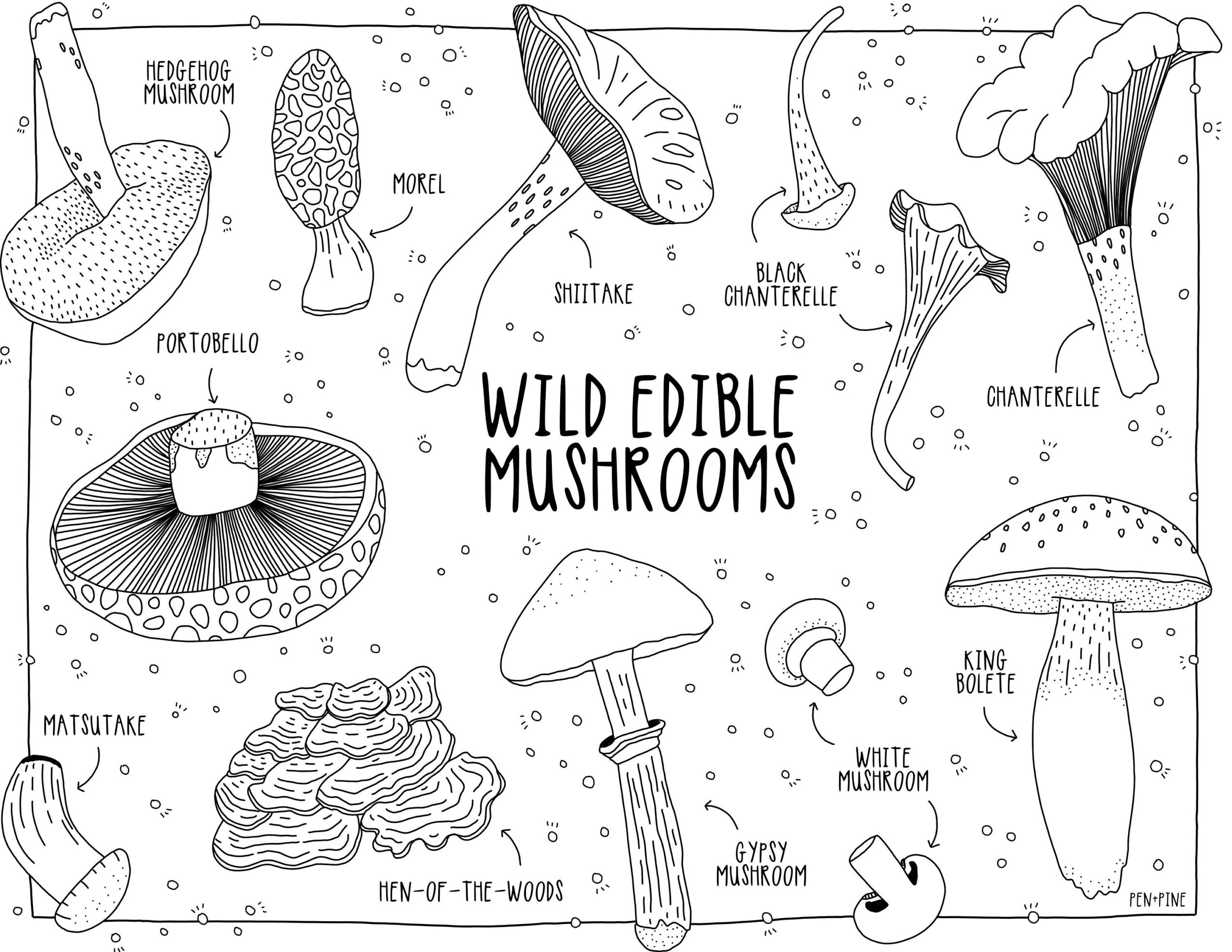 Mushroom Printable Coloring Page Adult Children s Coloring PDF Printable Nature Etsy Mushroom Printable Coloring Page Adult Children s Coloring PDF Printable Nature Etsy