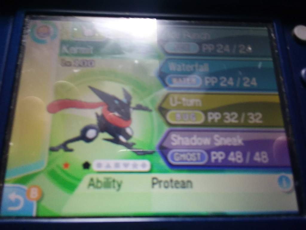 My Jolly Nature Protean Greninja Pok mon Amino