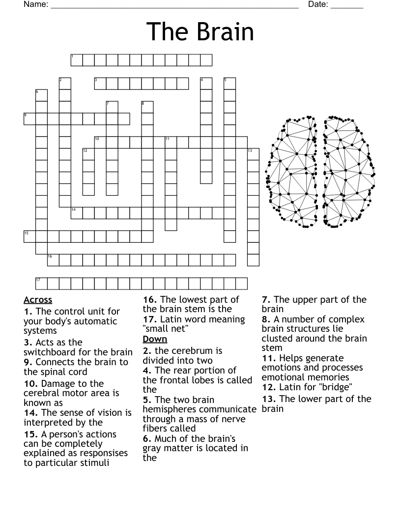 Neuro Crossword Puzzle WordMint Neuro Crossword Puzzle WordMint