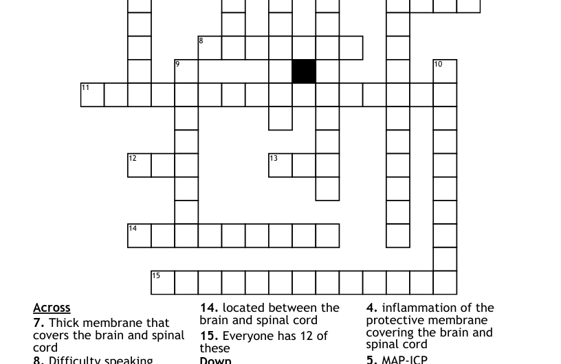 Brain Activity Scan Crossword Clue