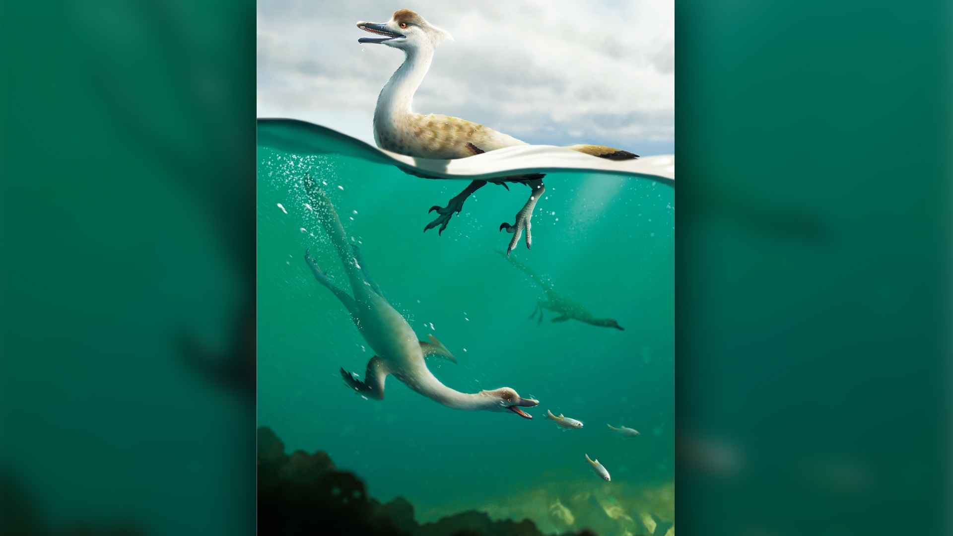 Noodle necked Swimming Dinosaur May Have Been A Diving Predator Like A Penguin Live Science Noodle necked Swimming Dinosaur May Have Been A Diving Predator Like A Penguin Live Science
