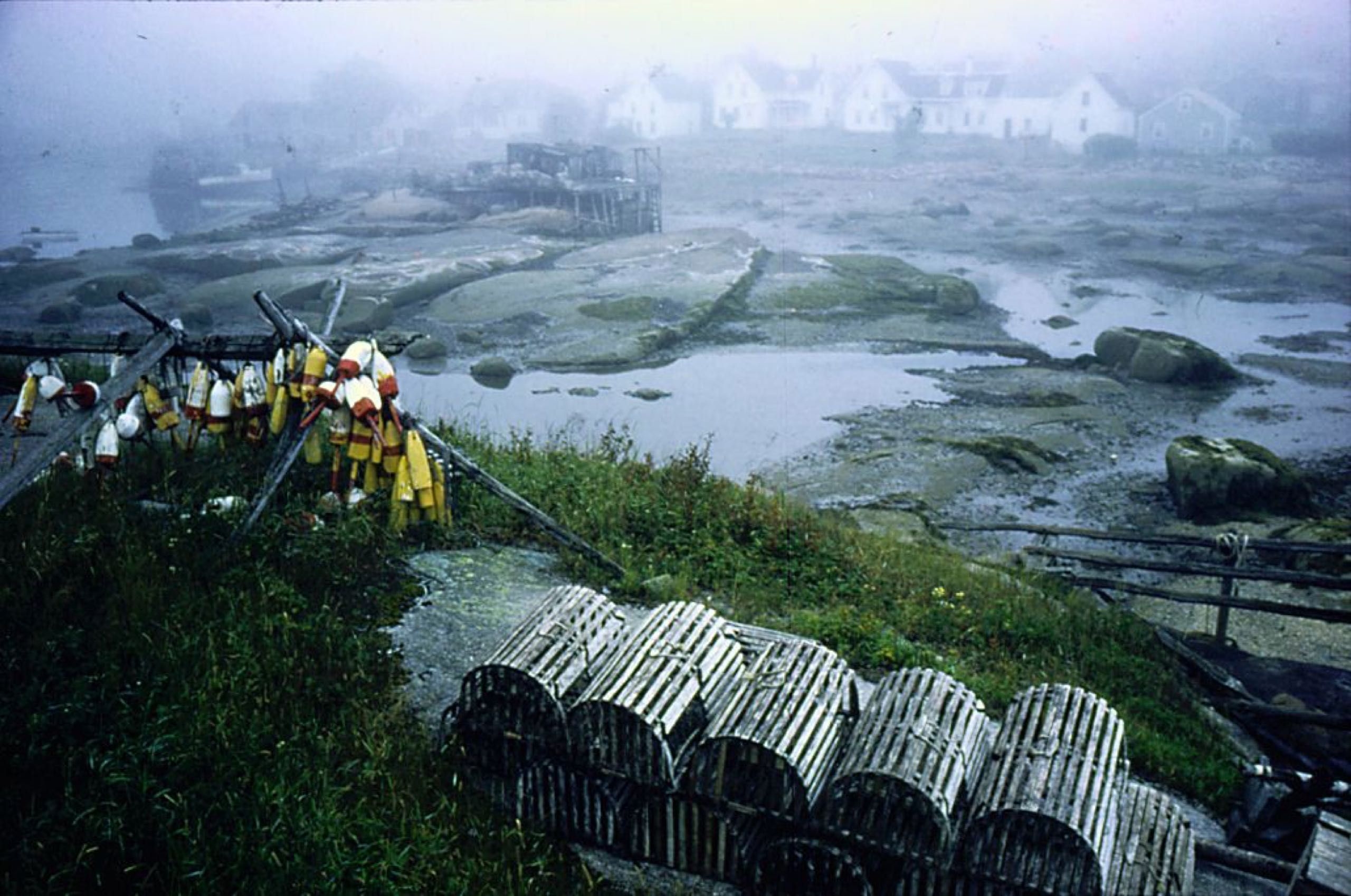 north sea feeder crossword north sea feeder crossword