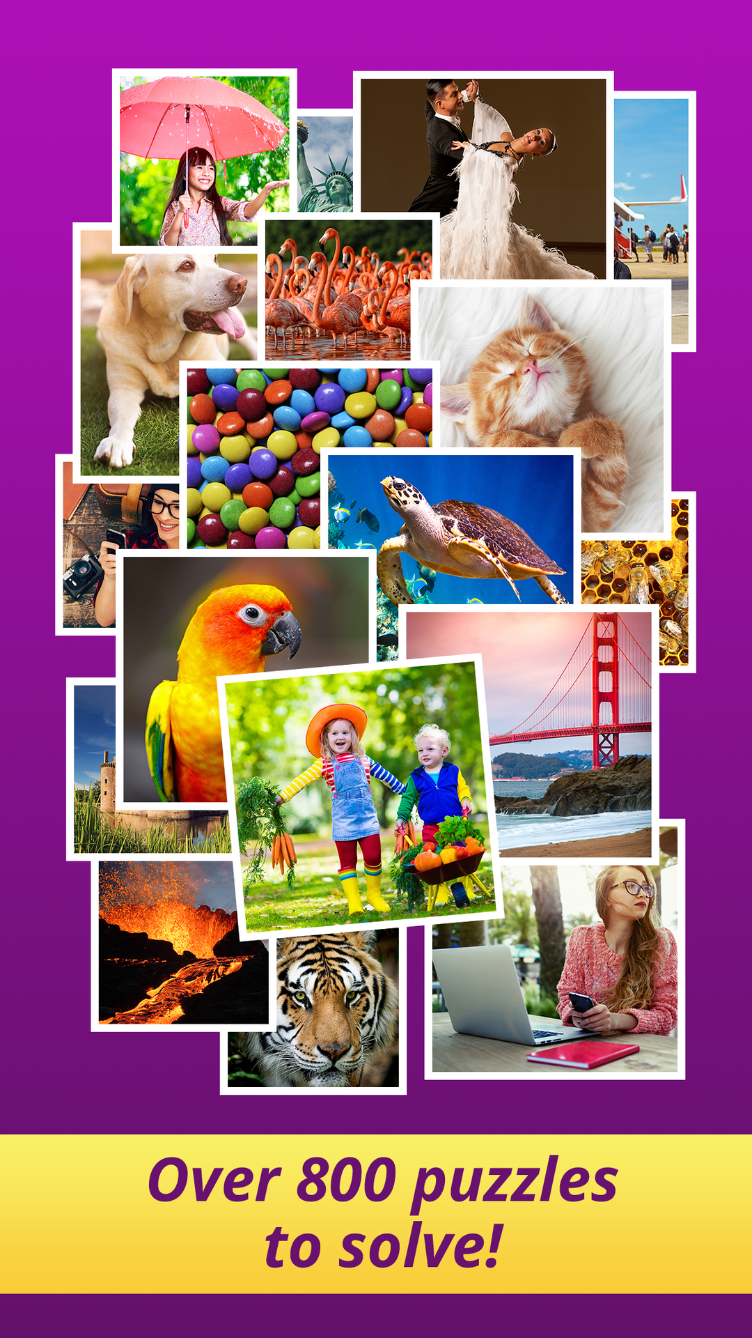 One Clue Crossword 100s Of Great Free Crosswords With Picture Clues App On The Amazon Appstore One Clue Crossword 100s Of Great Free Crosswords With Picture Clues App On The Amazon Appstore