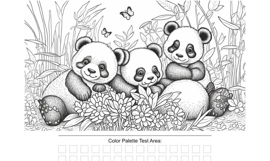 Panda Bear Coloring Book