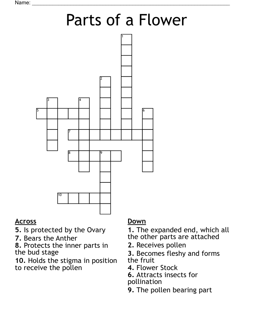 Parts Of A Flower Crossword WordMint Parts Of A Flower Crossword WordMint