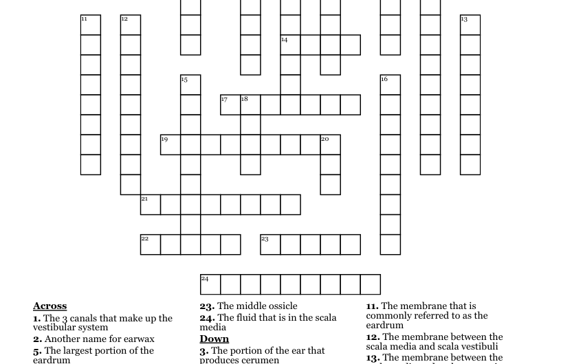 Of The Ear Crossword Clue