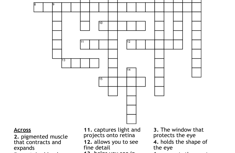 Crossword Clue Part Of The Eye