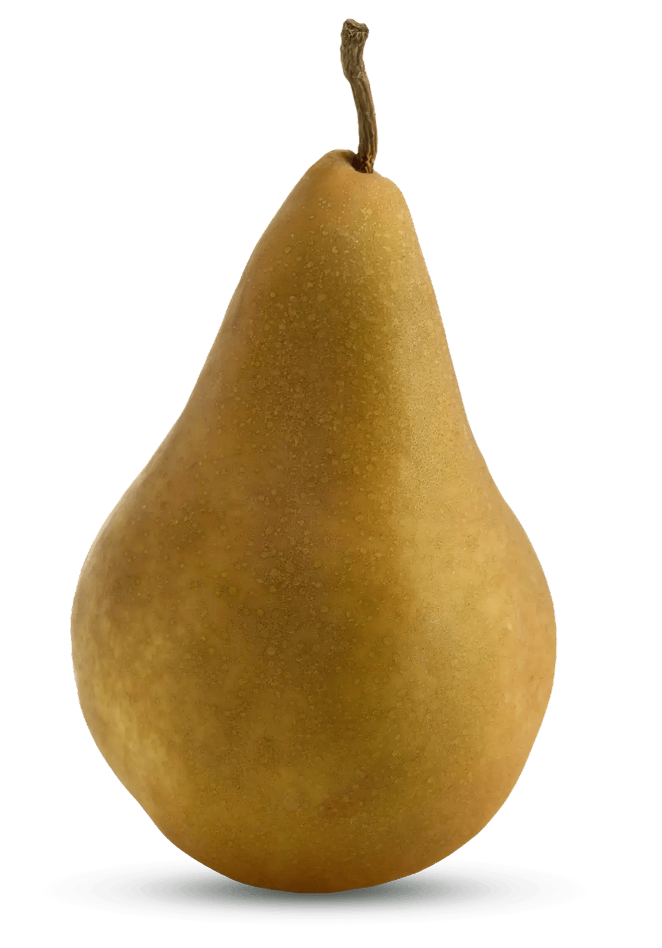 Pear Varieties Guide Flavor Texture And Season USA Pears Pear Varieties Guide Flavor Texture And Season USA Pears
