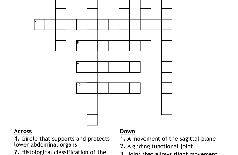 Pelvic Bones Crossword