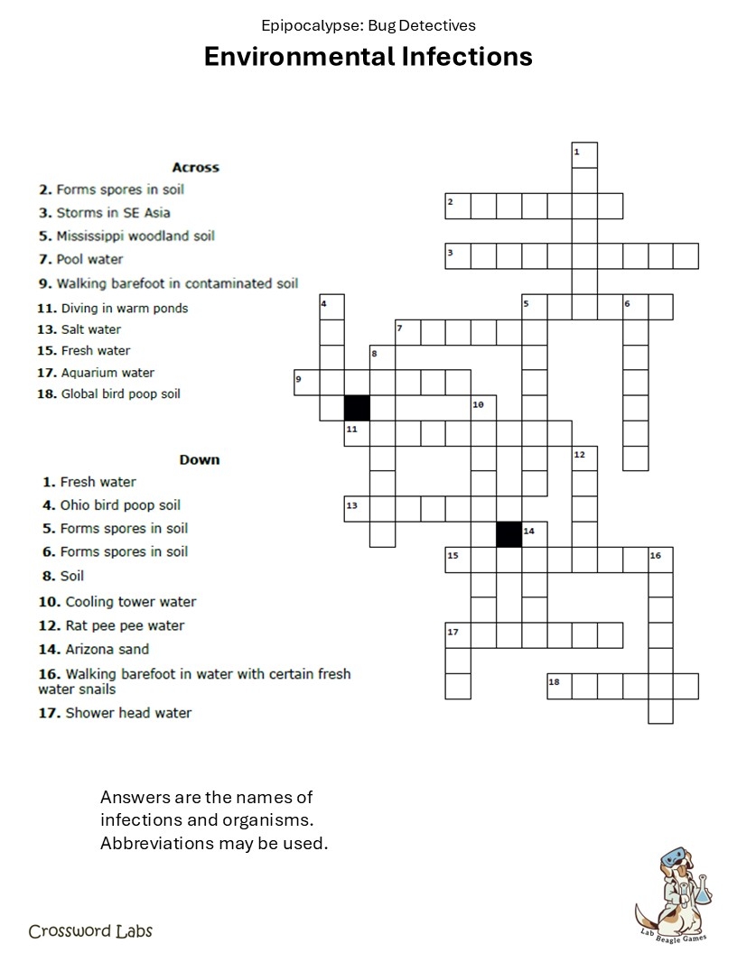 diving bird crossword clue diving bird crossword clue