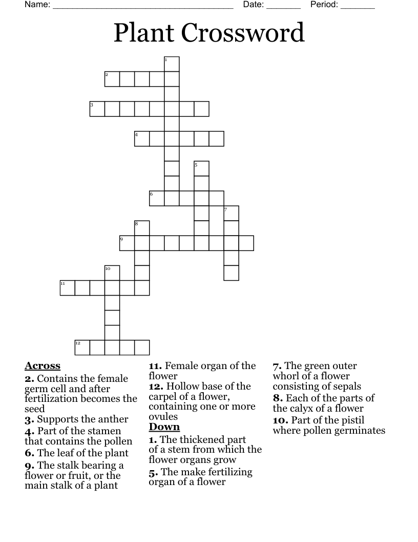 Plant Crossword WordMint