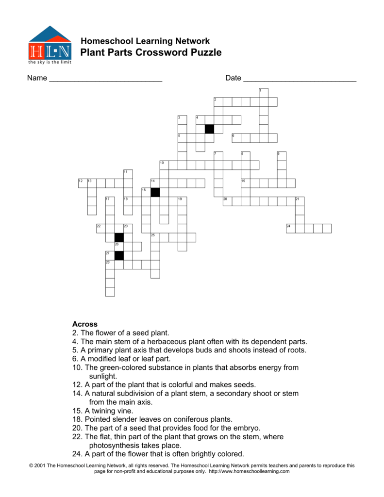 Plant Parts Crossword Puzzle Homeschool Learning Plant Parts Crossword Puzzle Homeschool Learning