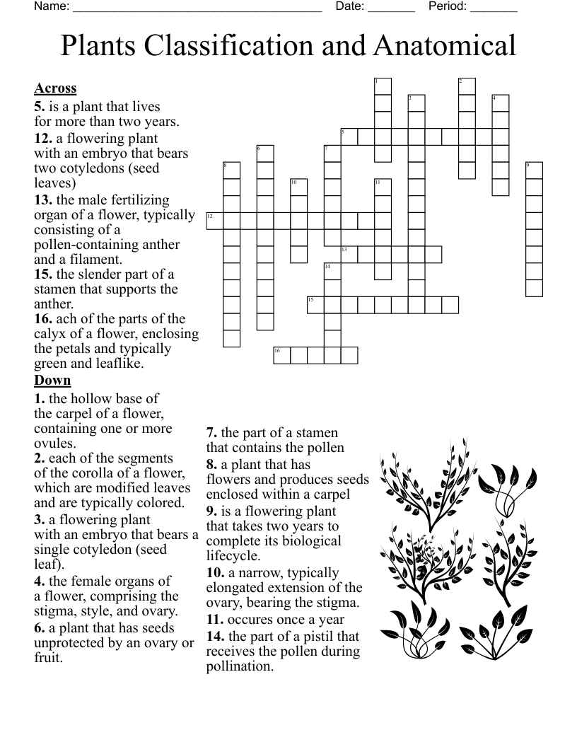 Plant Parts Crossword WordMint Plant Parts Crossword WordMint