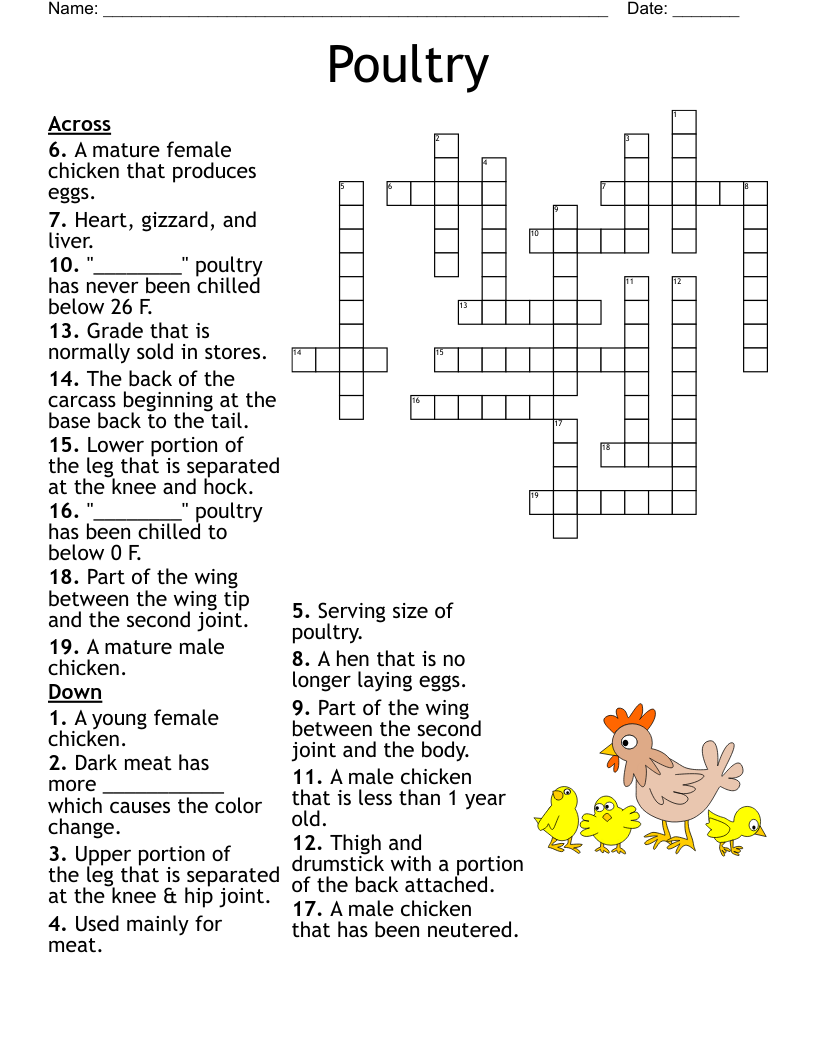 Poultry Crossword WordMint Poultry Crossword WordMint