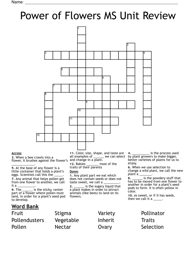 Power Of Flowers MS Unit Review Crossword WordMint