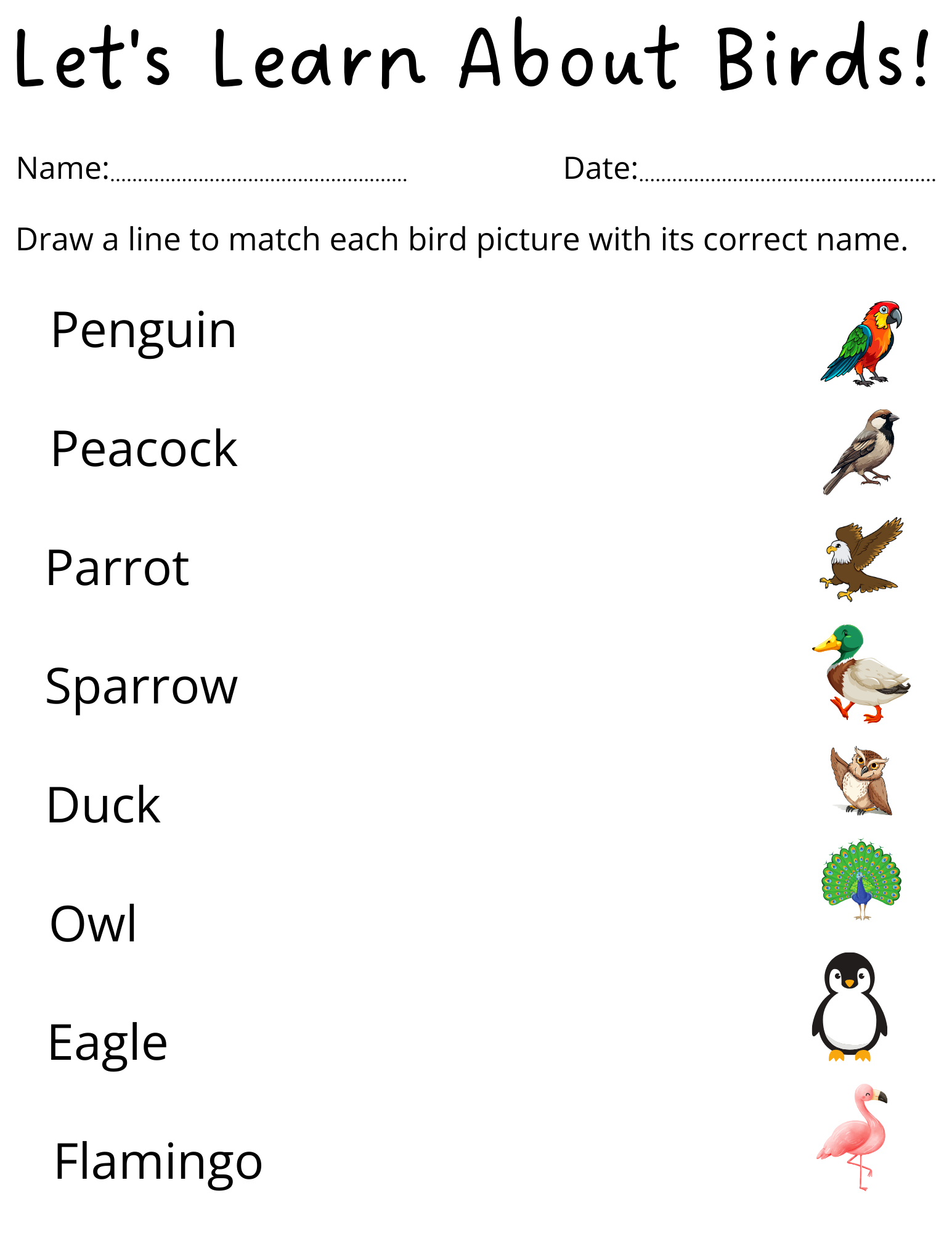 Preschool Birds Name Worksheet For Kindergarten Made By Teachers Preschool Birds Name Worksheet For Kindergarten Made By Teachers