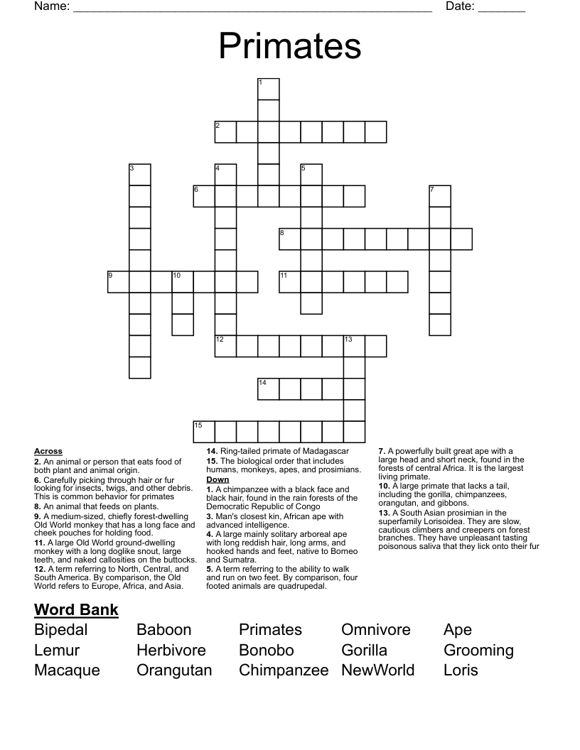 Primates Crossword WordMint Primates Crossword WordMint