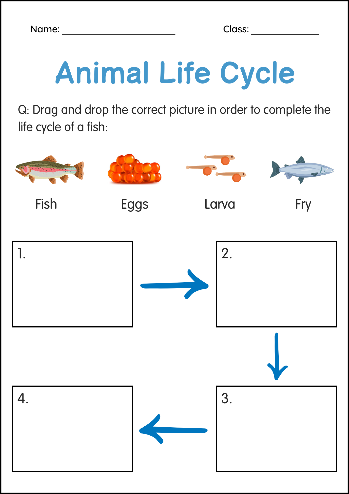 Printable Animals Life Cycle Activity Worksheets For Grade 1 2 3 Made By Teachers Printable Animals Life Cycle Activity Worksheets For Grade 1 2 3 Made By Teachers