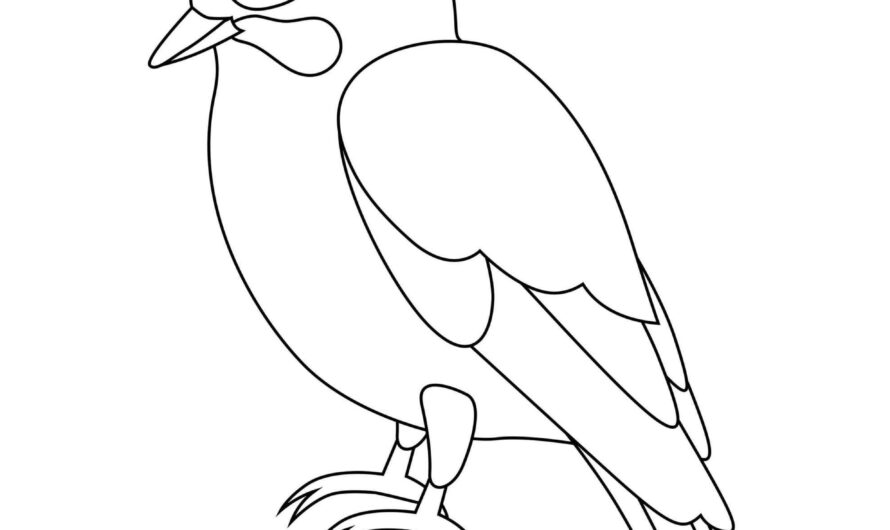 Coloring Pages Of Birds