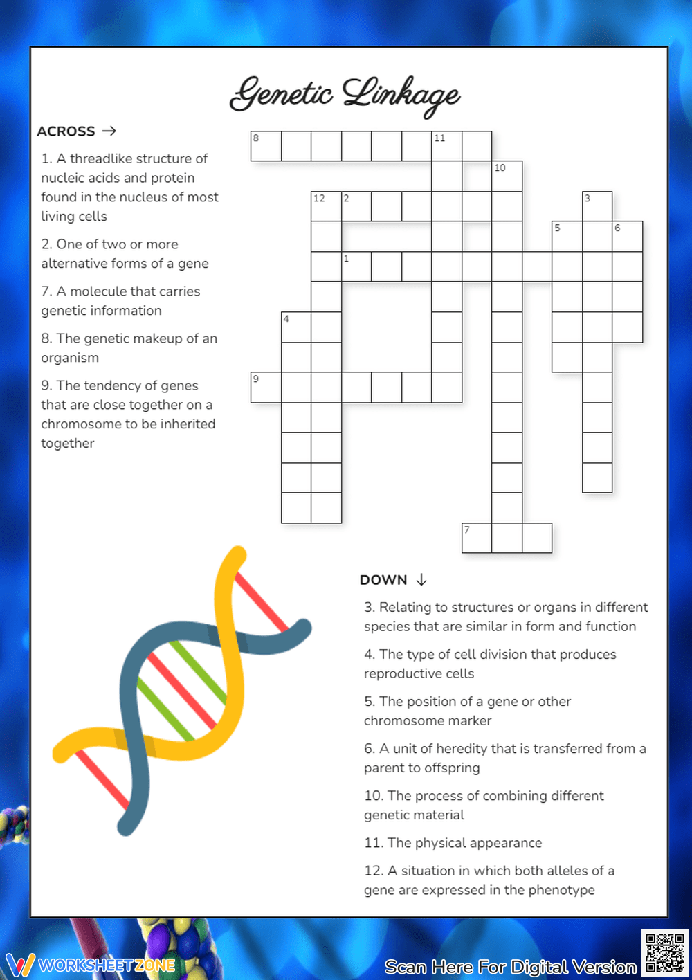 gene variant crossword gene variant crossword