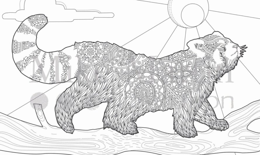 Red Panda Coloring Page