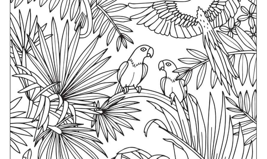 Jungle Pictures To Color