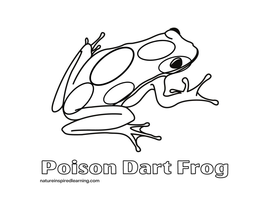 pictures to color of frogs pictures to color of frogs