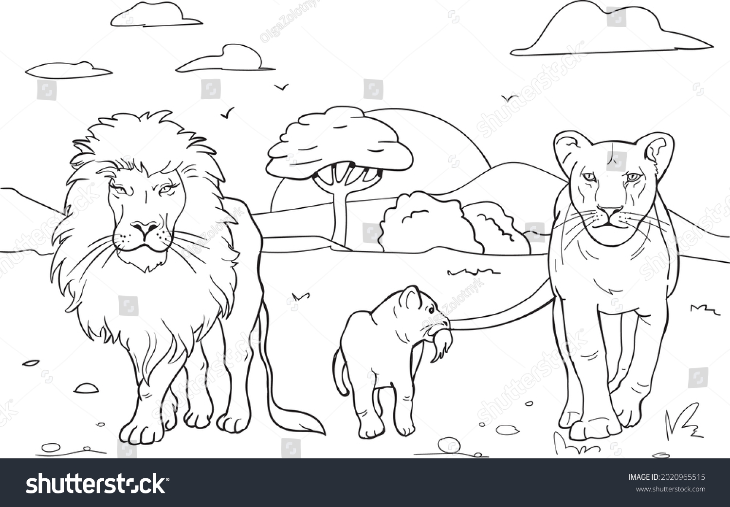 Realistic Lion Coloring Pages Family Lions Stock Vector Royalty Free 2020965515 Shutterstock Realistic Lion Coloring Pages Family Lions Stock Vector Royalty Free 2020965515 Shutterstock