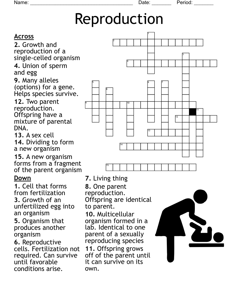 Reproduction Crossword WordMint Reproduction Crossword WordMint