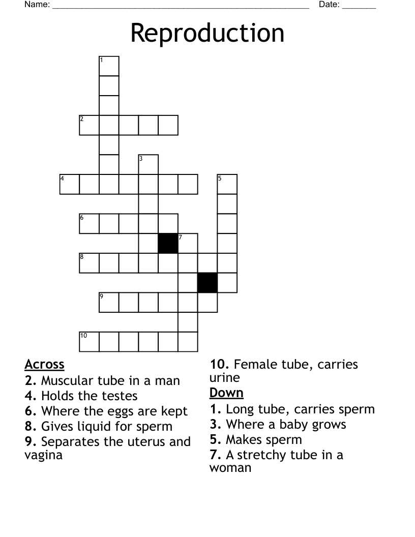 Reproduction Crossword WordMint Reproduction Crossword WordMint