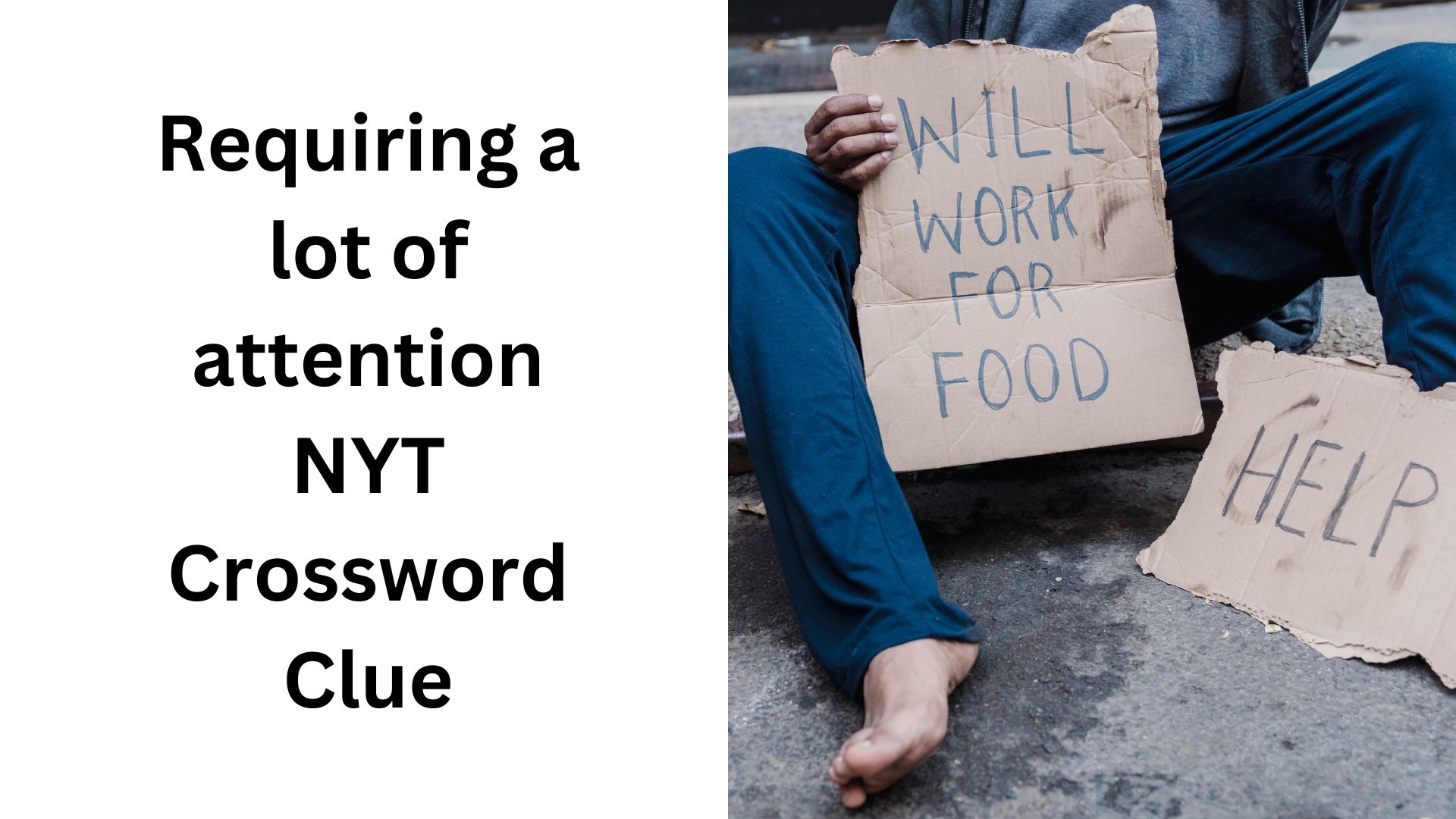 pay attention crossword clue pay attention crossword clue