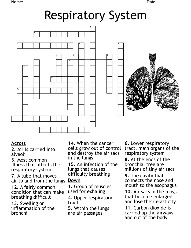 carried crossword clue carried crossword clue
