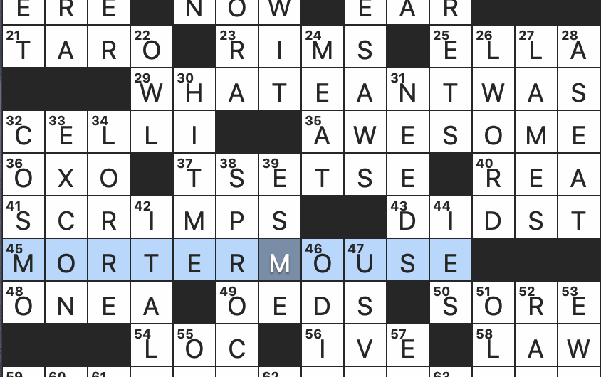 Look Forward To Crossword Clue