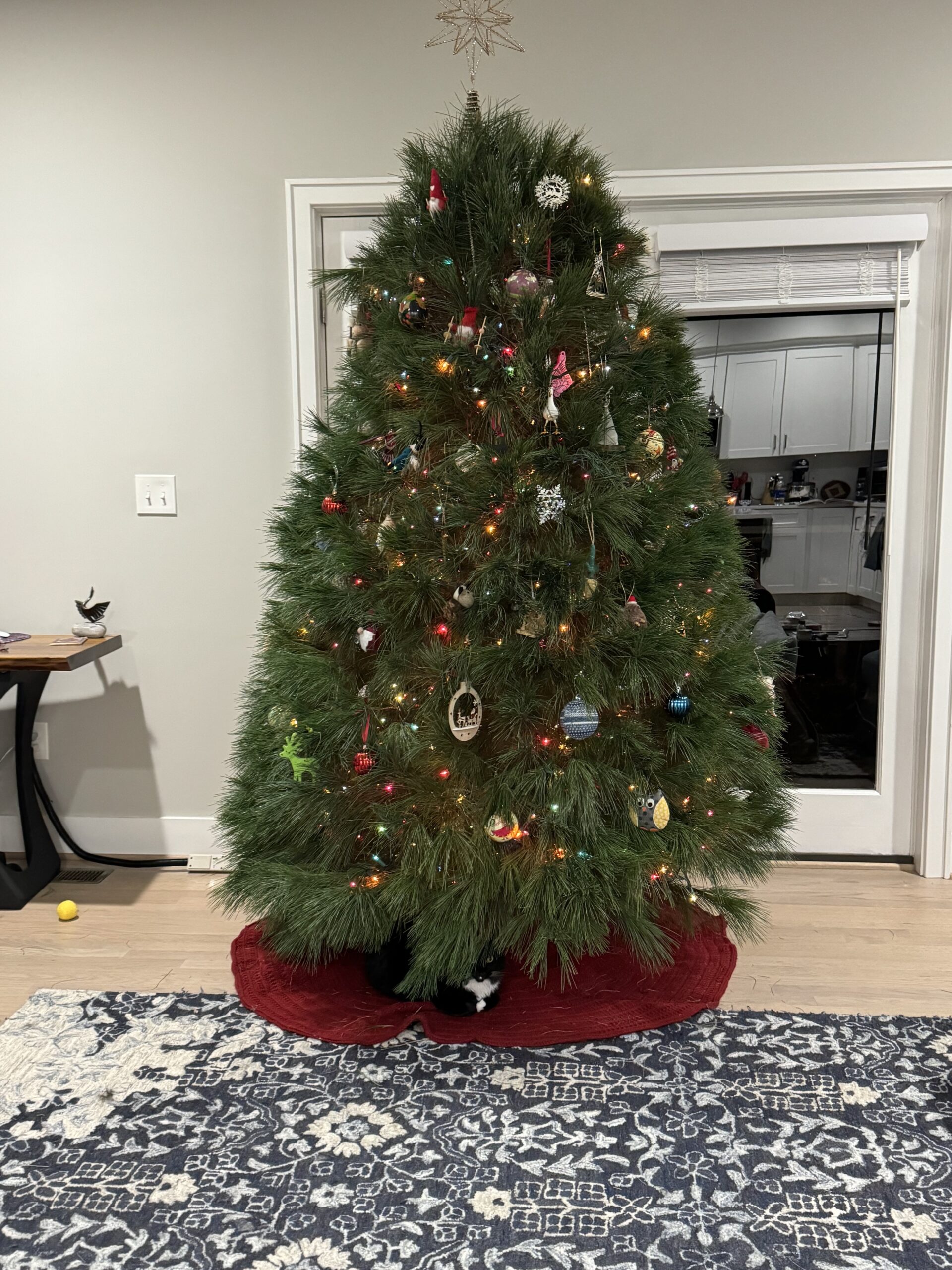 Rex Parker Does The NYT Crossword Puzzle Stiff Bristle Botanically WED 12 20 23 Fabric Whose Name Is French For cloth Gooey Addition To A Charcuterie Board Swiss Mathematician Who Introduced Functional Notation Rex Parker Does The NYT Crossword Puzzle Stiff Bristle Botanically WED 12 20 23 Fabric Whose Name Is French For cloth Gooey Addition To A Charcuterie Board Swiss Mathematician Who Introduced Functional Notation