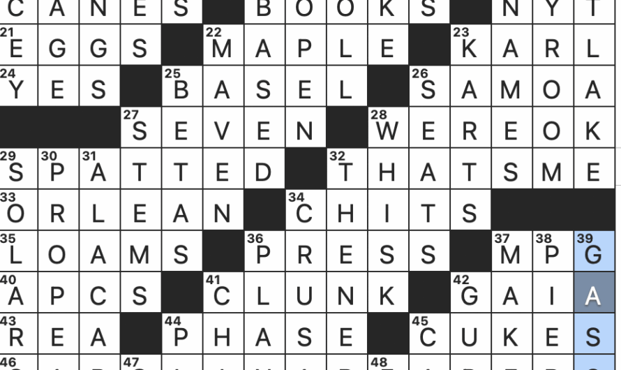 Mario Racing Vehicle Crossword Clue