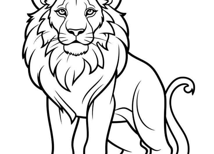 Coloring Sheets Of Lions